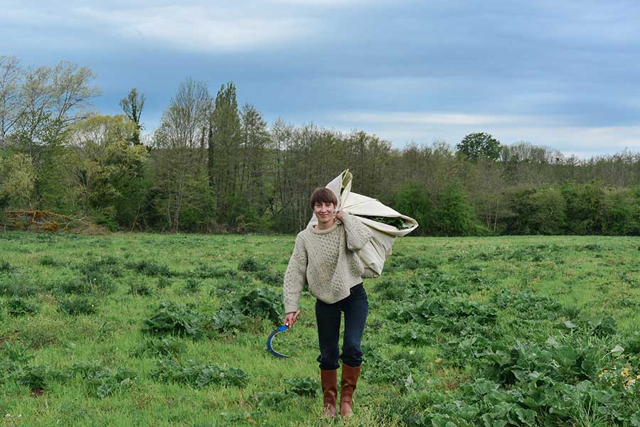 Léa Bosshard - LB Plantes dans le Jura